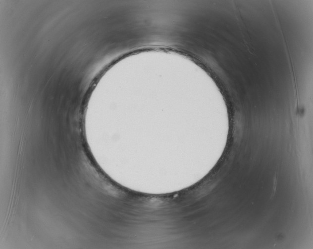 X0000112141412200909181347