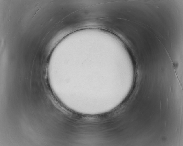 X0000112141413200909181347