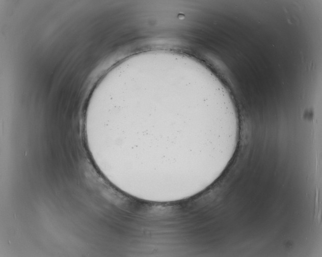 X0000112141419200909181347