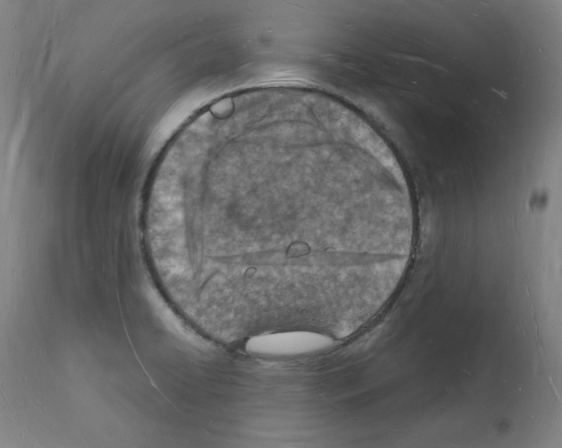 X0000112141422200909181347