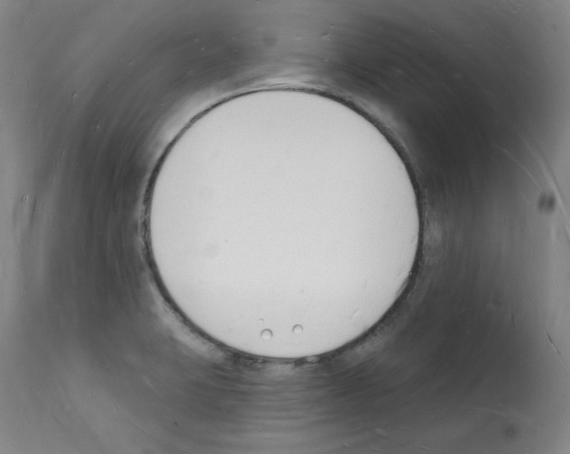 X0000112141423200909181347