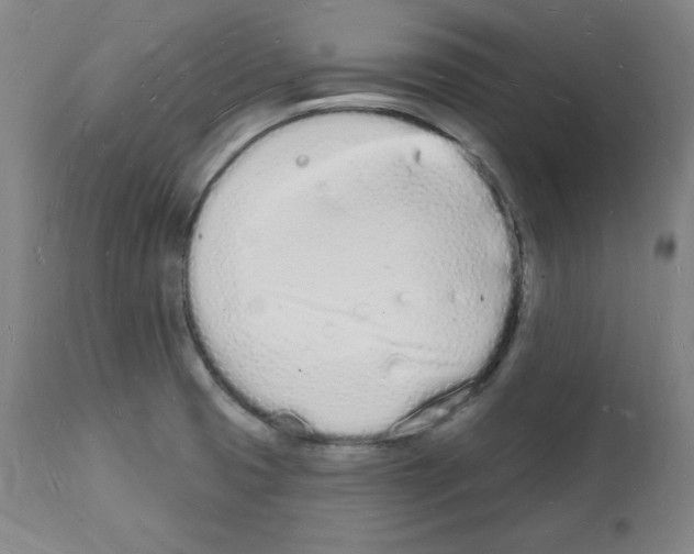 X0000112141425200909181347