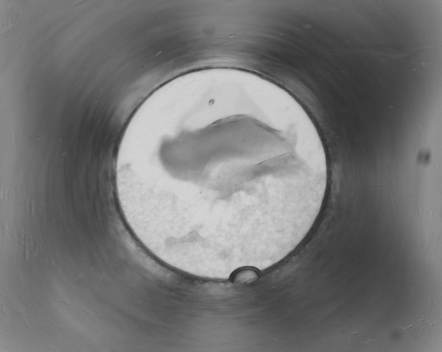 X0000112141428200909181347