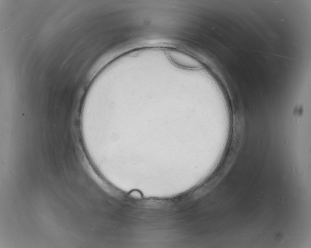 X0000112141429200909181347