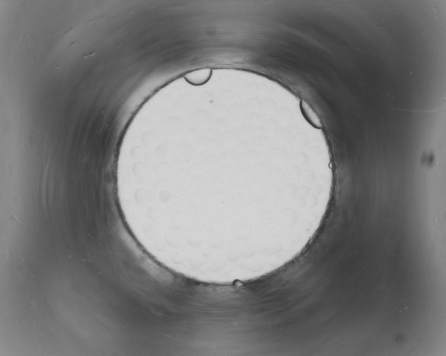 X0000112141432200909181347