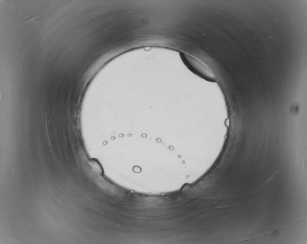 X0000112141436200909181348