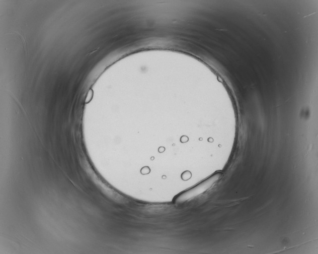 X0000112141437200909181348