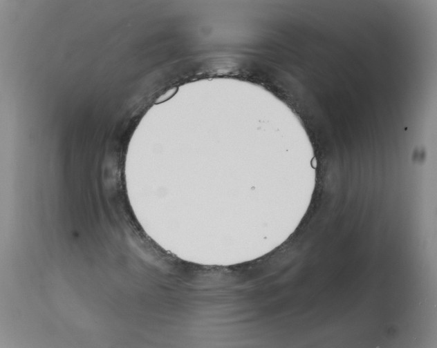 X0000112141442200909181347