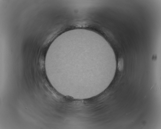 X0000112141444200909181347