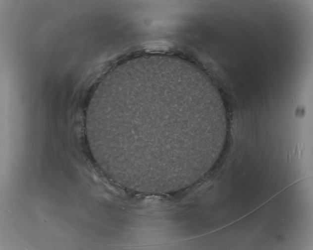 X0000112141445200909181347