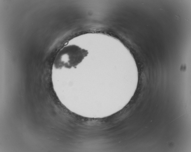 X0000112141447200909181346