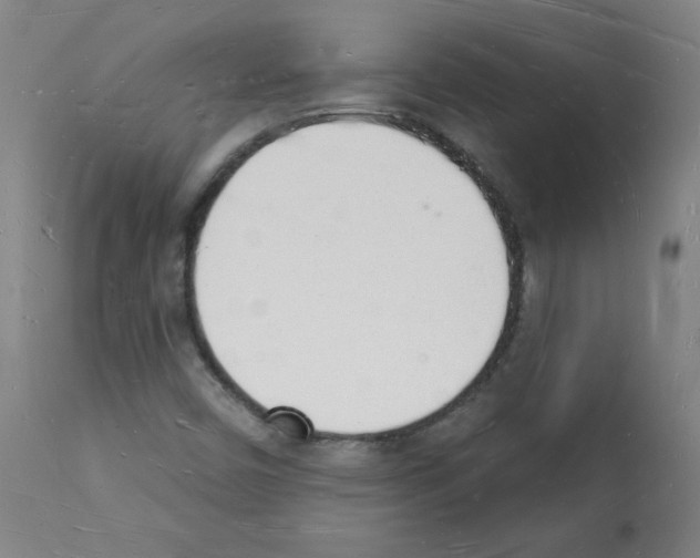 X0000112141450200909181346