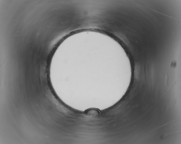 X0000112141452200909181346