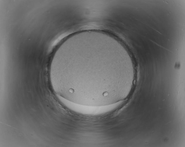 X0000112141453200909181346