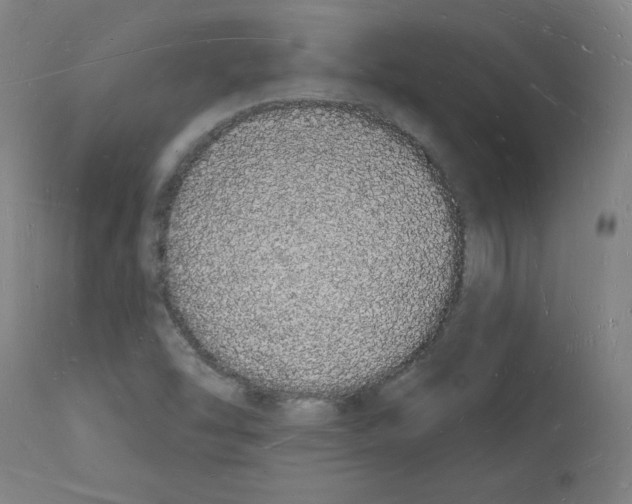 X0000112141454200909181346