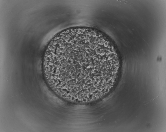 X0000112141455200909181346