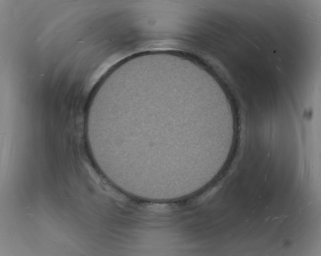 X0000112141457200909181346