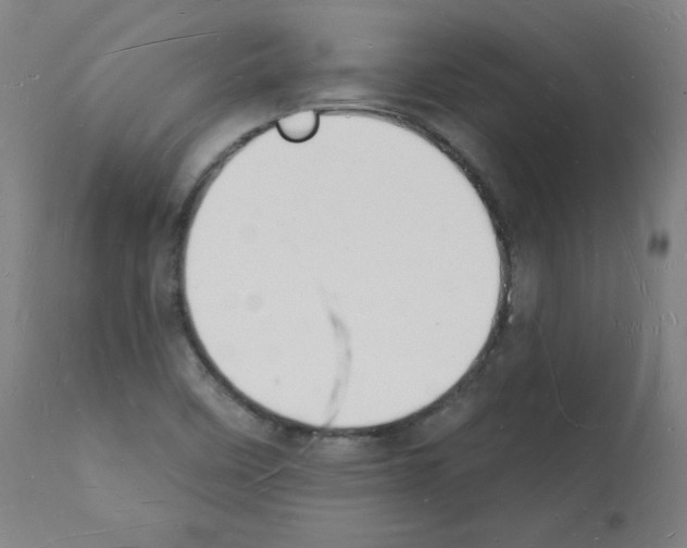 X0000112141458200909181346