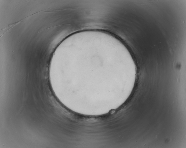 X0000112141459200909181346