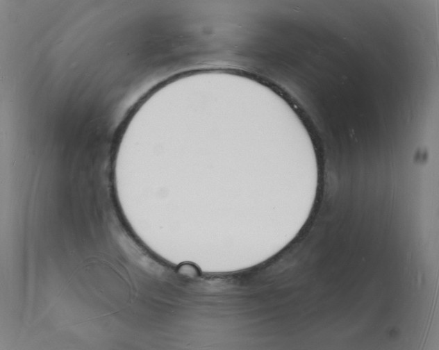 X0000112141460200909181346