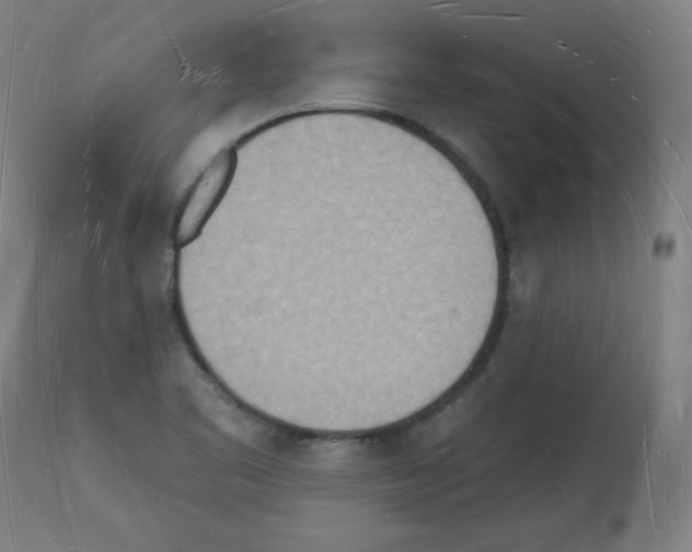 X0000112141461200909181346