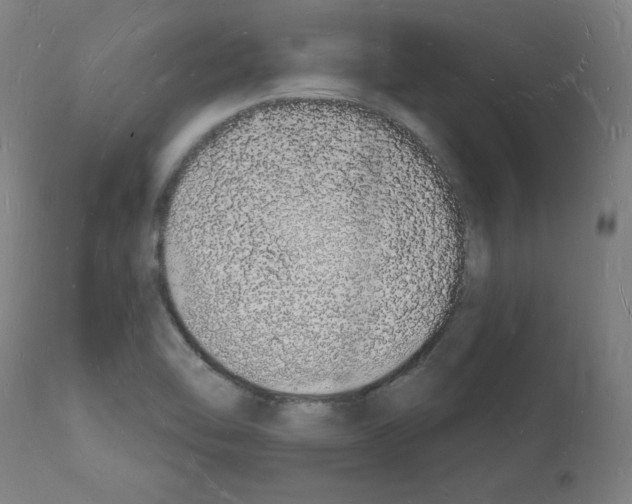 X0000112141462200909181346