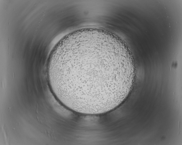 X0000112141466200909181346