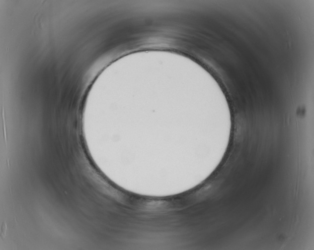 X0000112141467200909181346