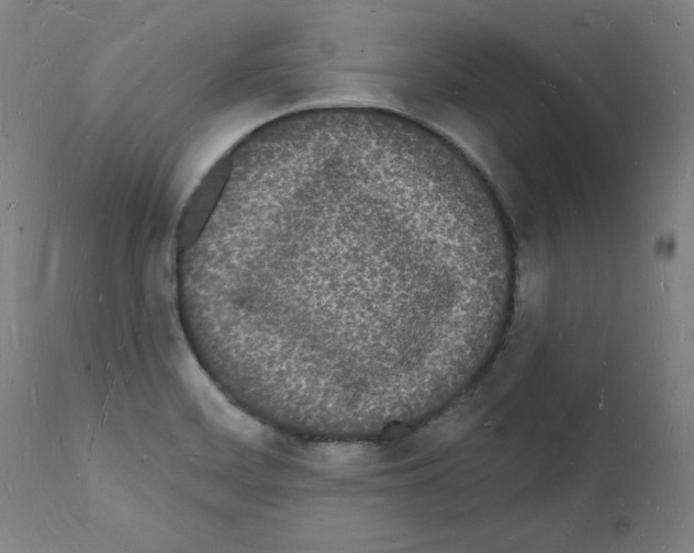 X0000112141468200909181346