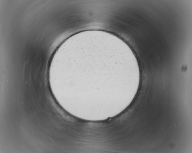 X0000112141469200909181346