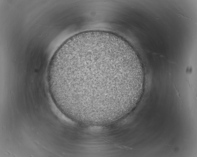 X0000112141470200909181346