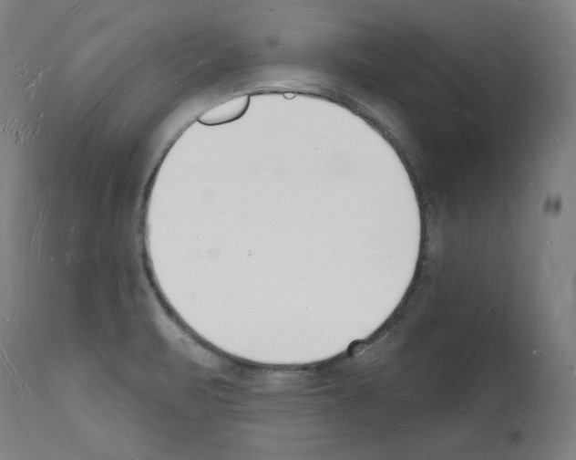 X0000112141471200909181346