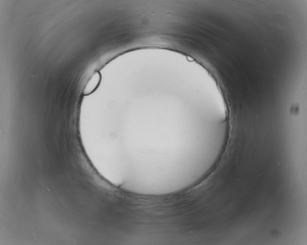 X0000112141477200909181346