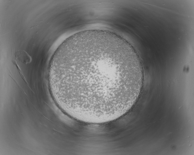 X0000112141478200909181346