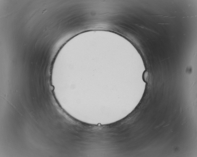 X0000112141480200909181346