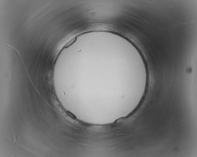 X0000112141481200909181346