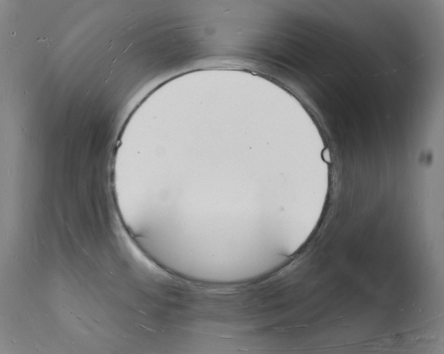 X0000112141484200909181346