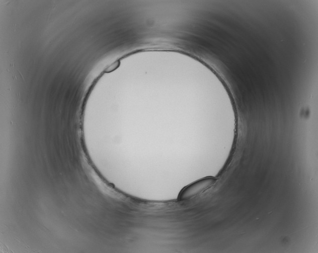 X0000112141485200909181346