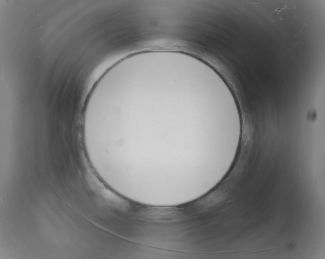 X0000112141486200909181346