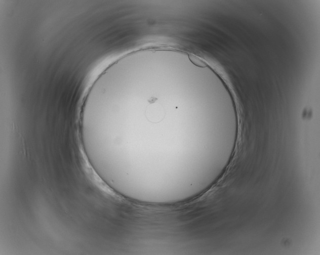 X0000112141488200909181346