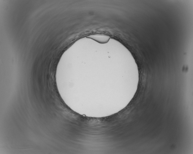 X0000112141489200909181345