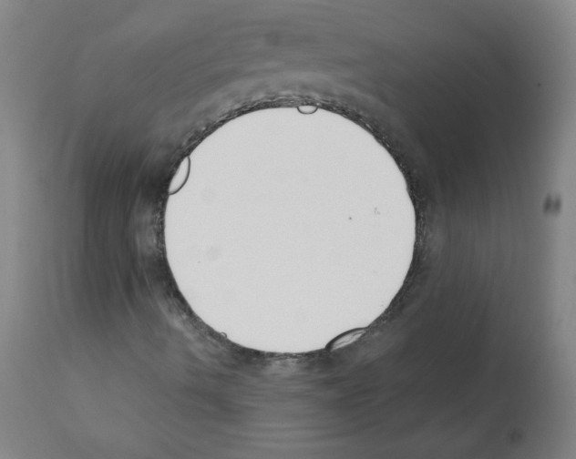 X0000112141490200909181345