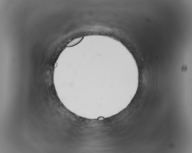 X0000112141493200909181345