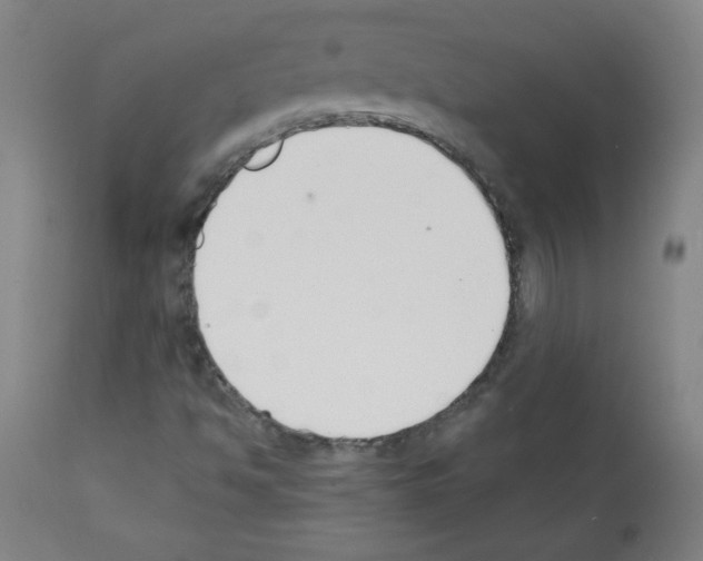 X0000112141494200909181345