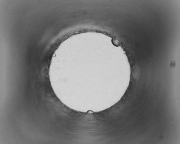 X0000112141495200909181345