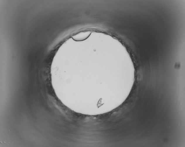 X0000112141496200909181345