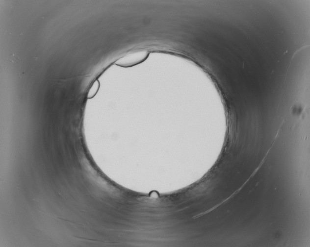 X0000112141500200909181345