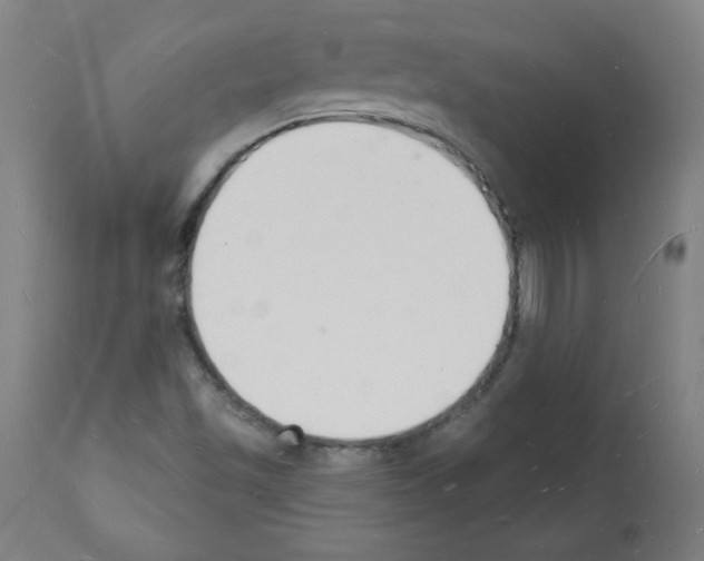 X0000112141501200909181345