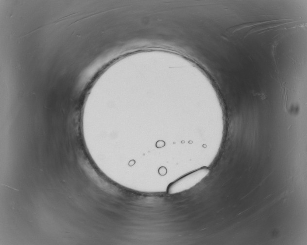 X0000112141503200909181345