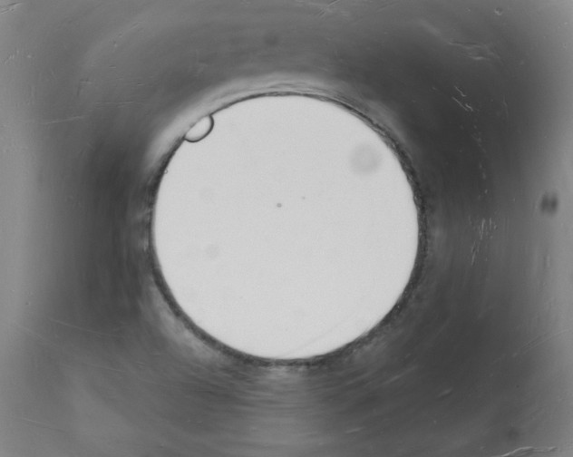 X0000112141504200909181345